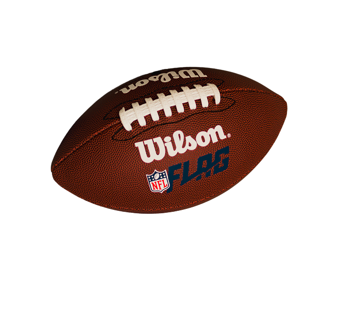NFL Wilson Football
